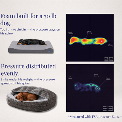 The IVDD-Prevention Bed™