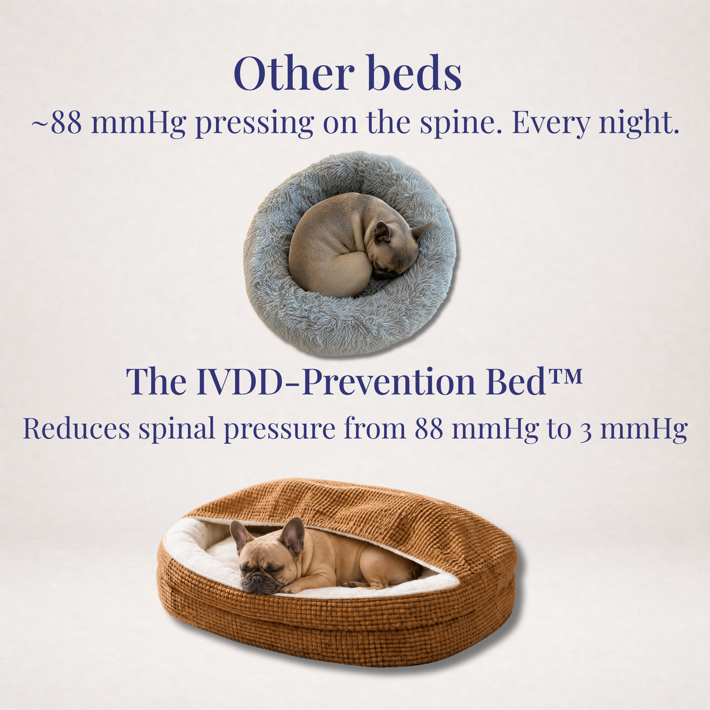 The IVDD-Prevention Bed™