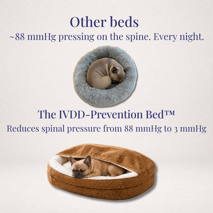 The IVDD-Prevention Bed™