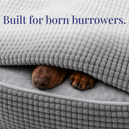 The Doxie Orthopedic Spine-Relief Bed™