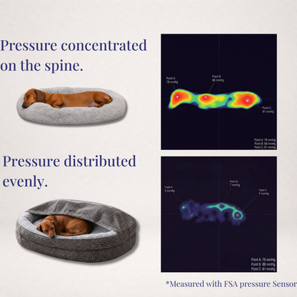 The Doxie Orthopedic Spine-Relief Bed™