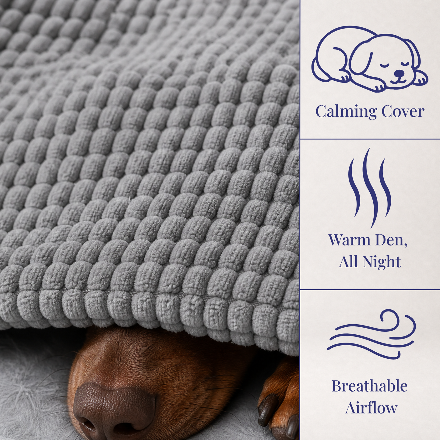 The IVDD-Prevention Bed™
