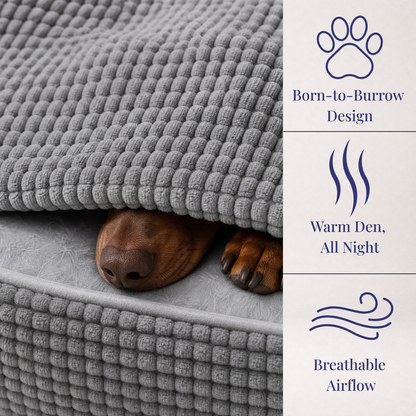 The Doxie Orthopedic Spine-Relief Bed™
