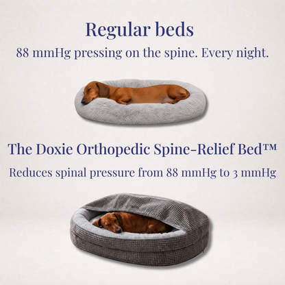 The Doxie Orthopedic Spine-Relief Bed™