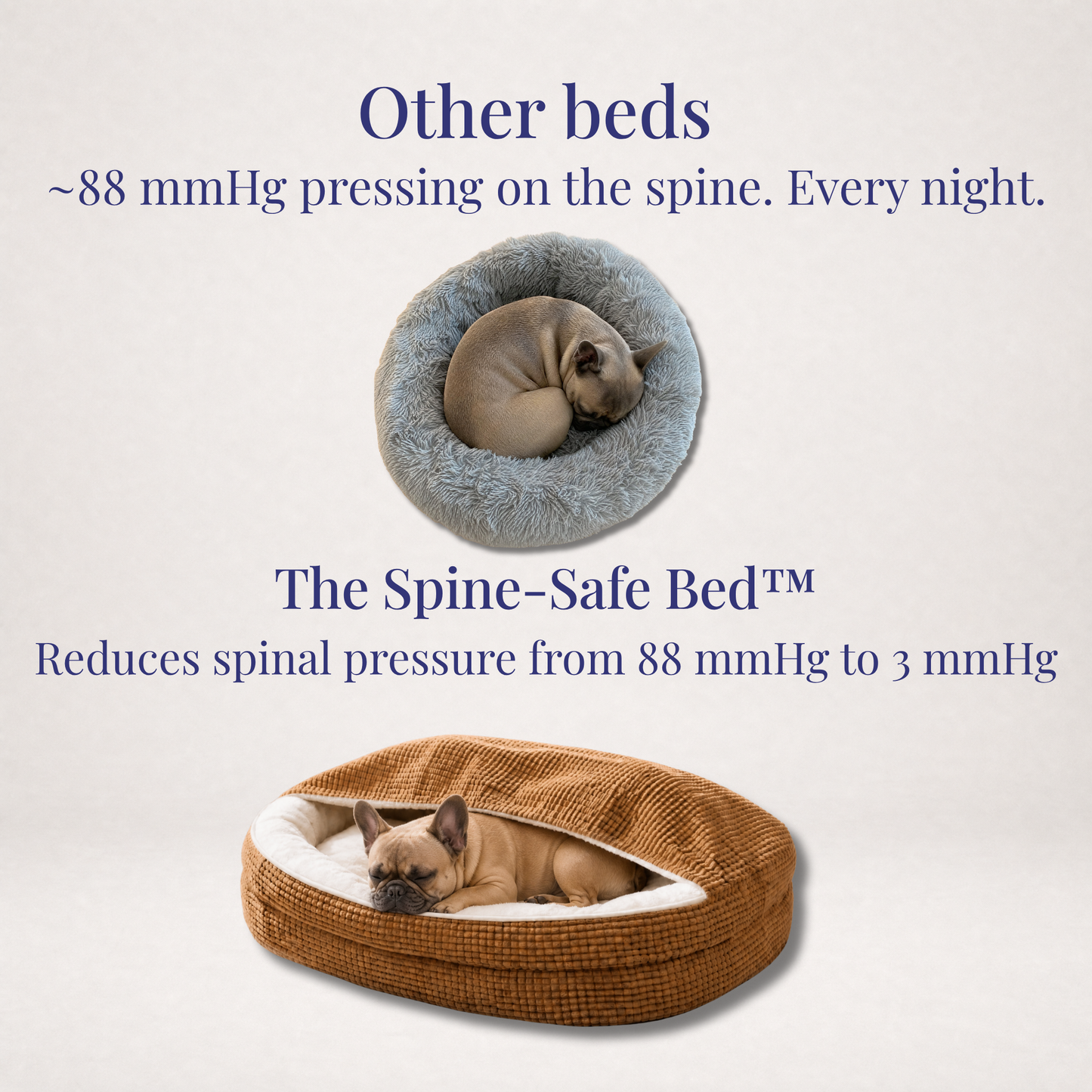 The Spine-Safe Bed™