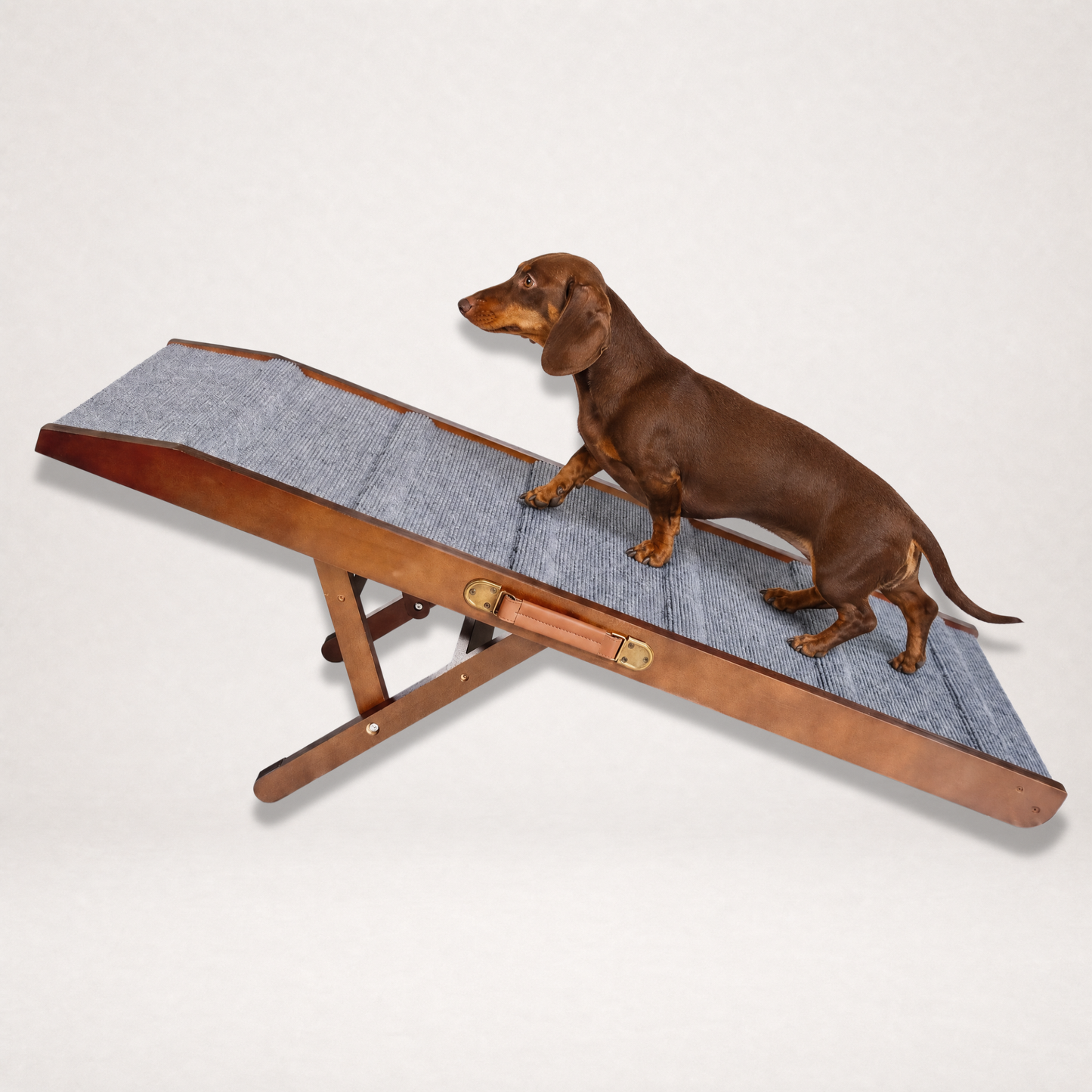 The Doxie Spine-Safe Ramp™