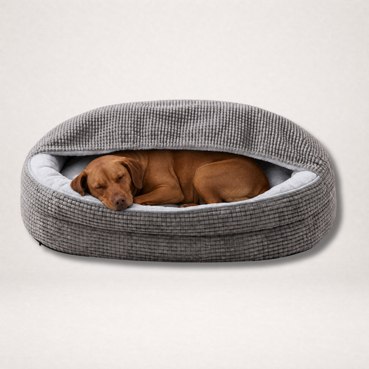 The Recovery Bed™