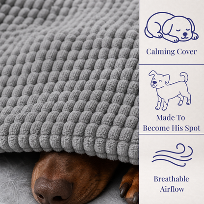 The Recovery Bed™