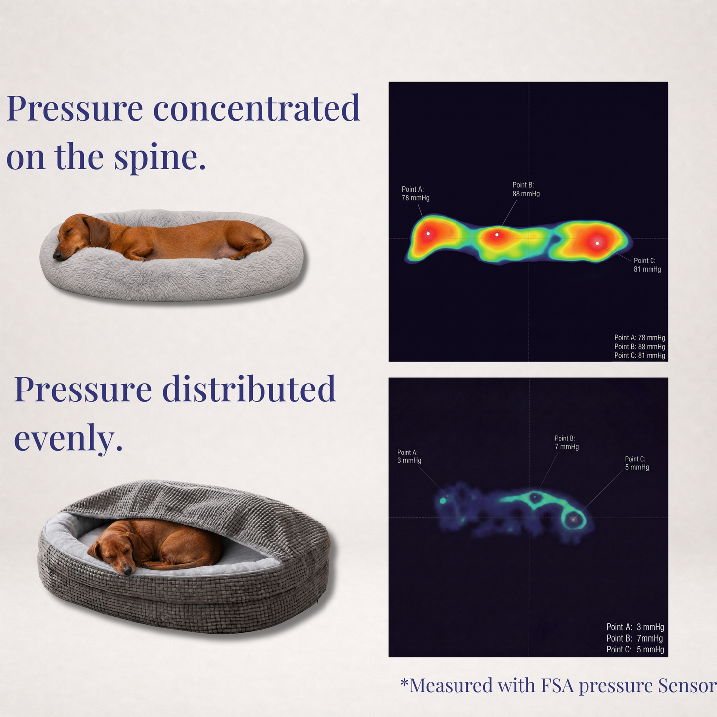 The Doxie Orthopedic Spine-Relief Bed™